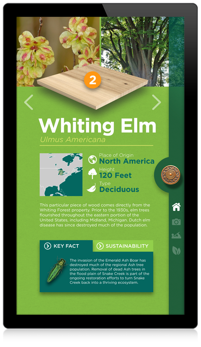Whiting Forest Logo Development Interactive Door Kiosk